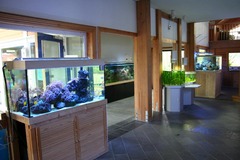 Killikus&reg; Fotographie